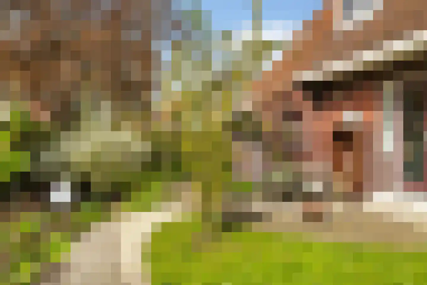 Kadoelenweg 225 Amsterdam thumbnail 10