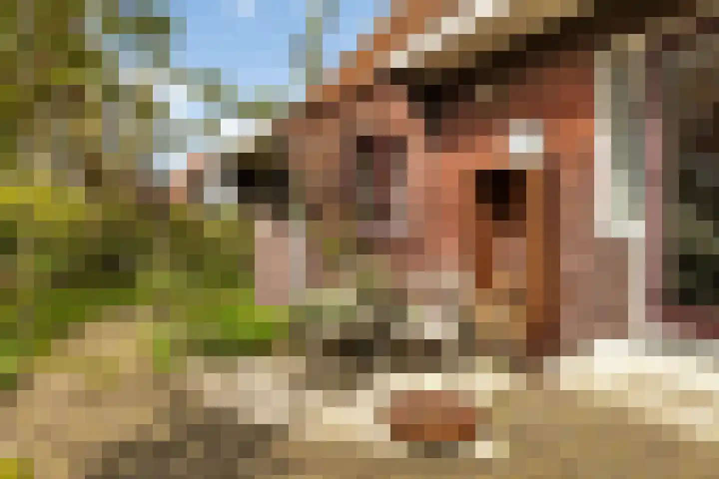 Kadoelenweg 225 Amsterdam thumbnail 11