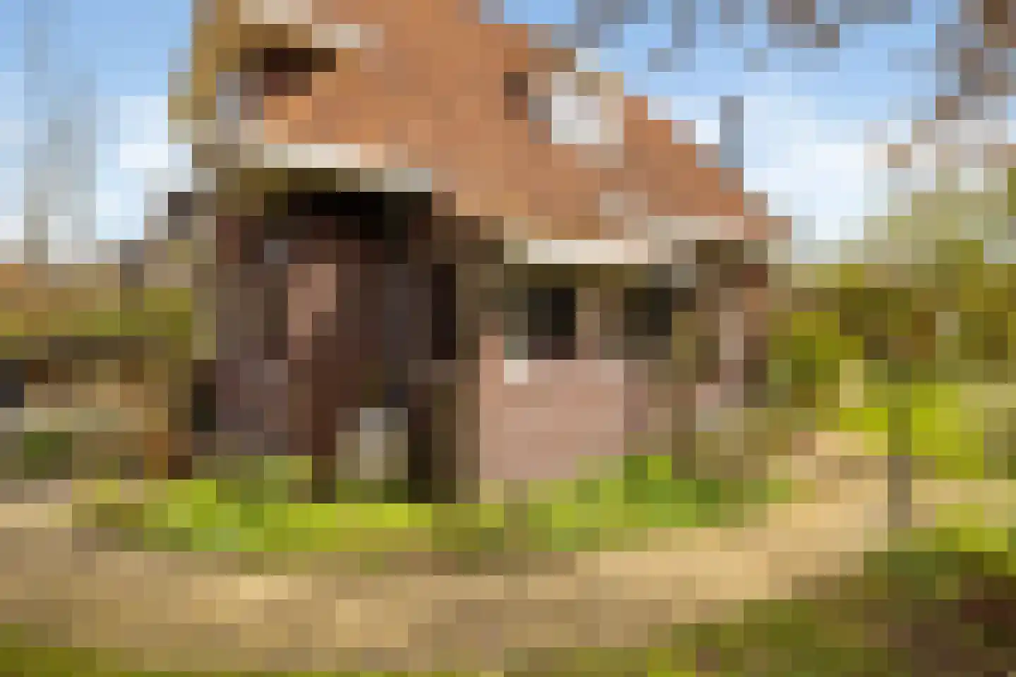 Kadoelenweg 225 Amsterdam thumbnail 12
