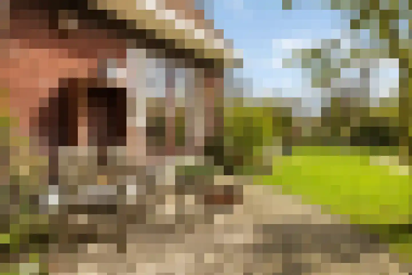 Kadoelenweg 225 Amsterdam thumbnail 14