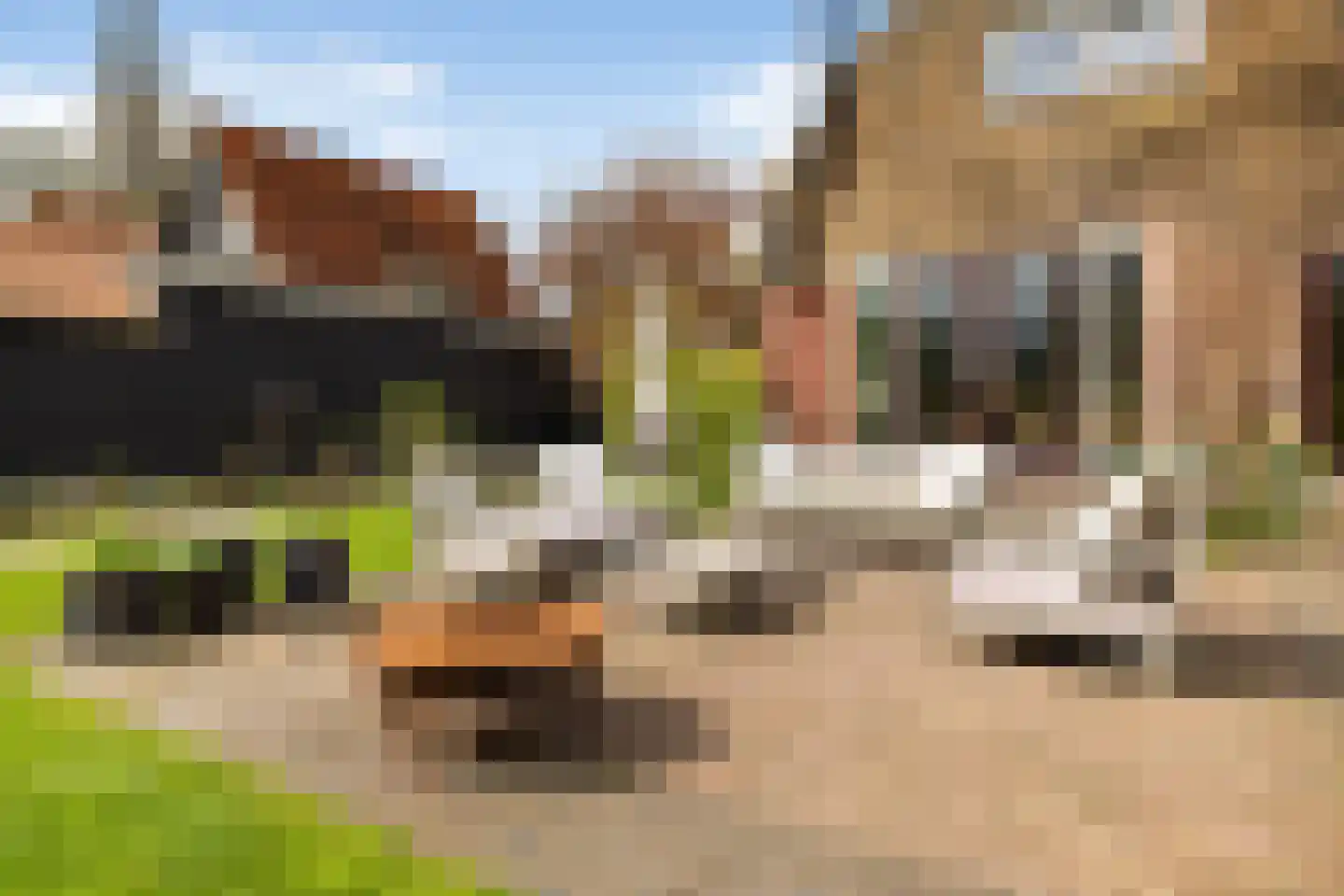 Kadoelenweg 225 Amsterdam thumbnail 16