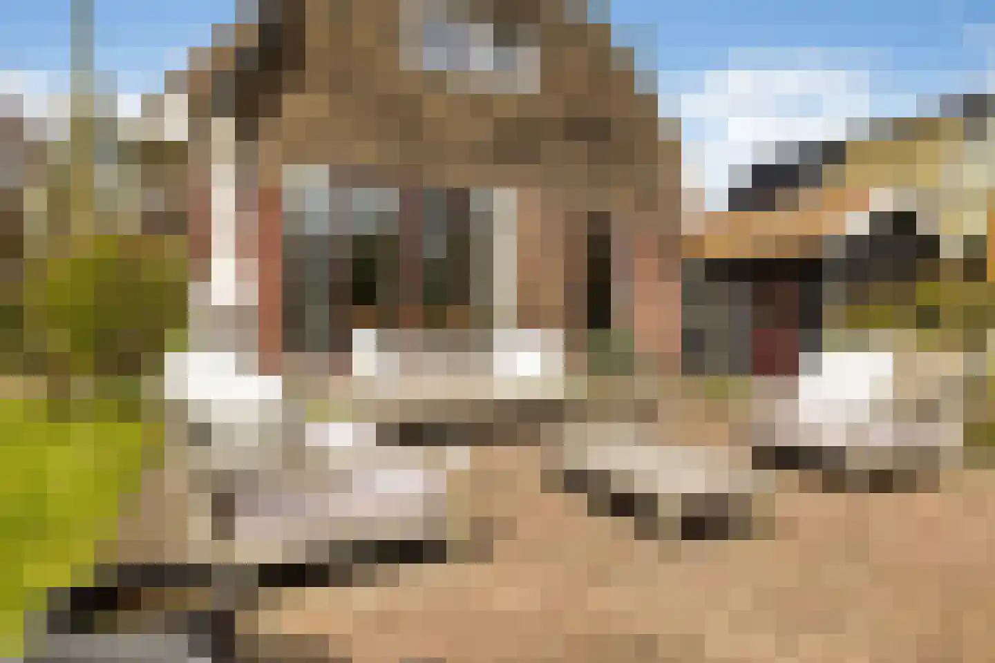Kadoelenweg 225 Amsterdam thumbnail 17