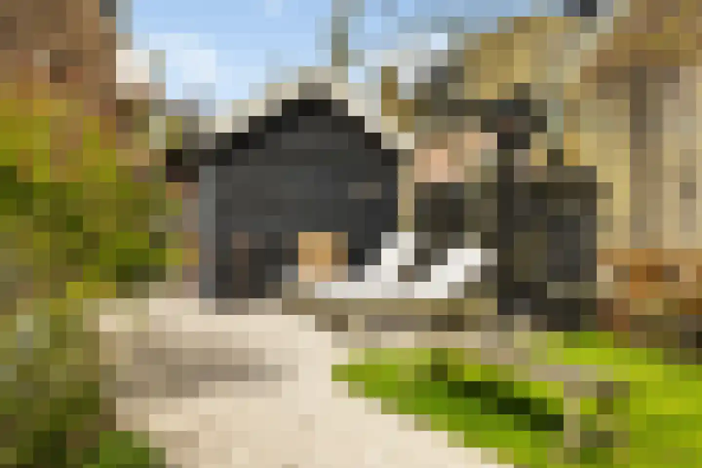 Kadoelenweg 225 Amsterdam thumbnail 18
