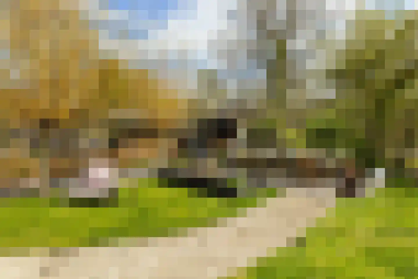 Kadoelenweg 225 Amsterdam thumbnail 20