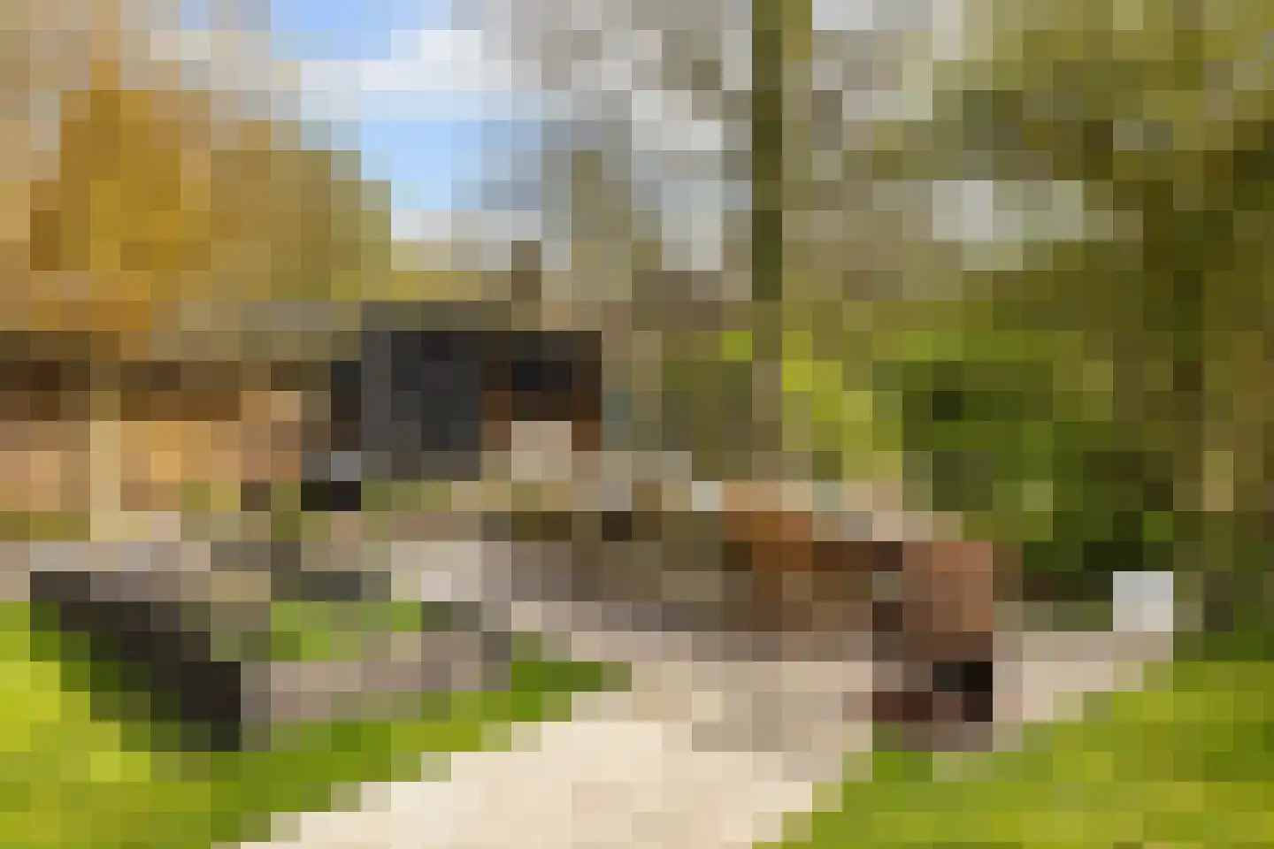 Kadoelenweg 225 Amsterdam thumbnail 21