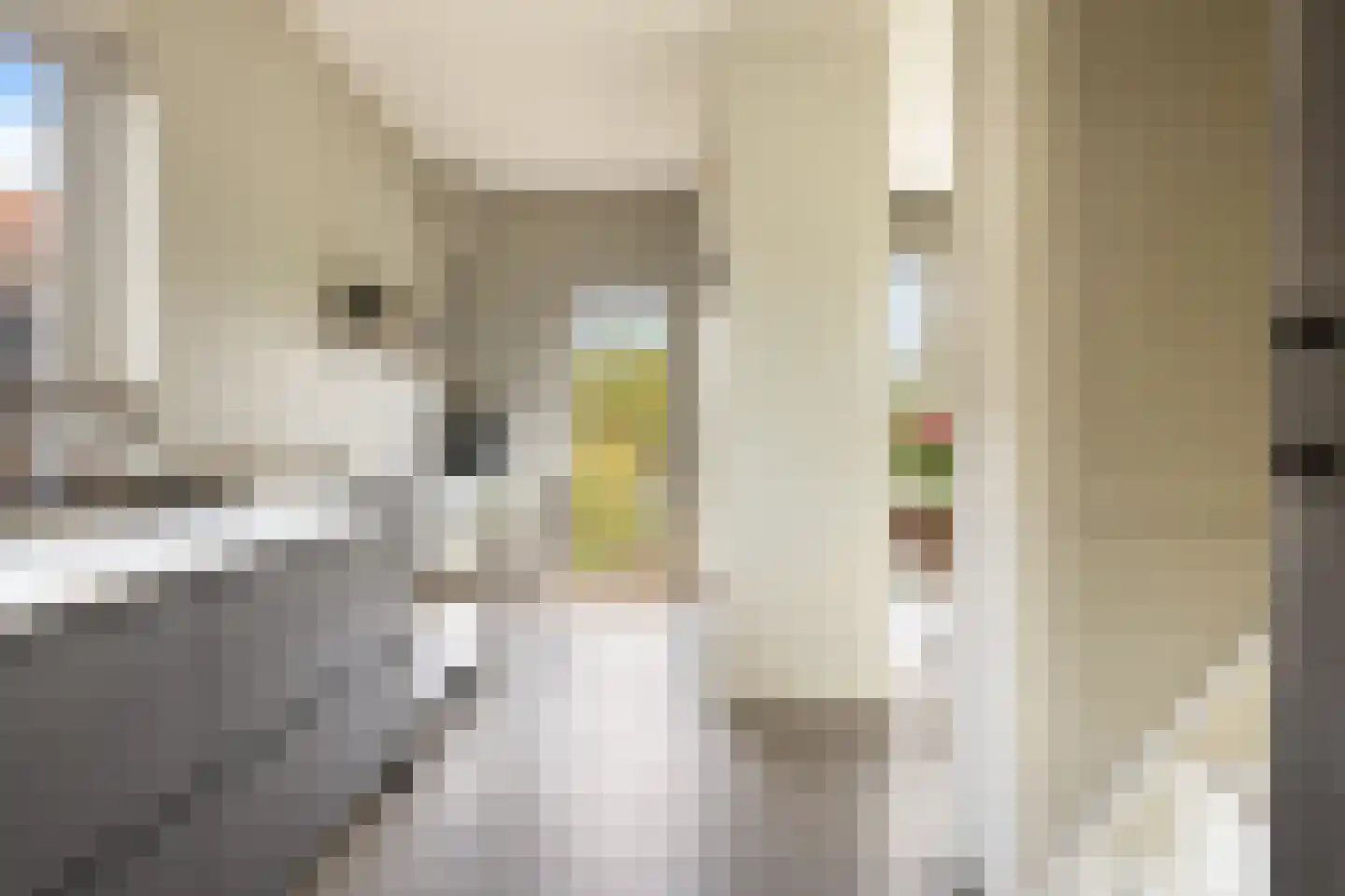 Kadoelenweg 225 Amsterdam thumbnail 25
