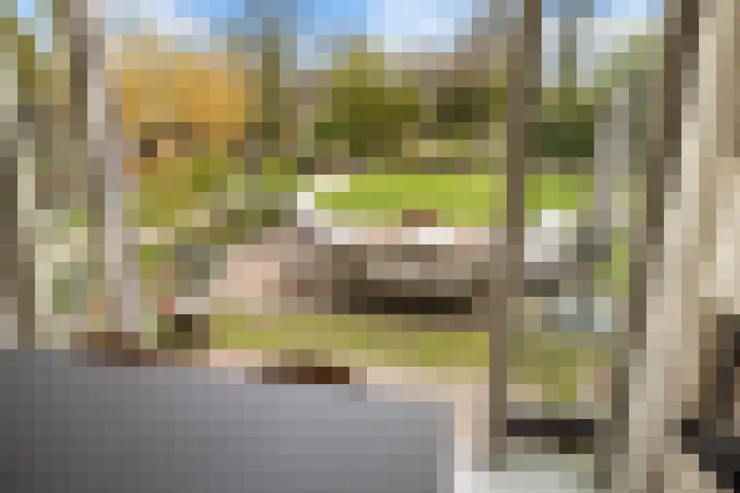 Kadoelenweg 225 Amsterdam thumbnail 30