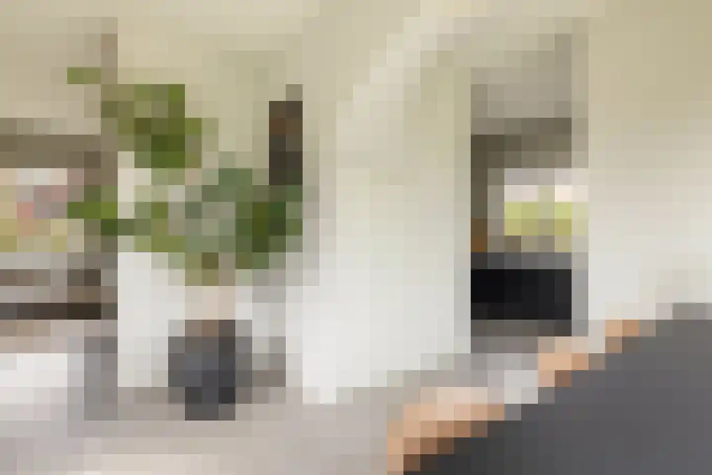 Kadoelenweg 225 Amsterdam thumbnail 32
