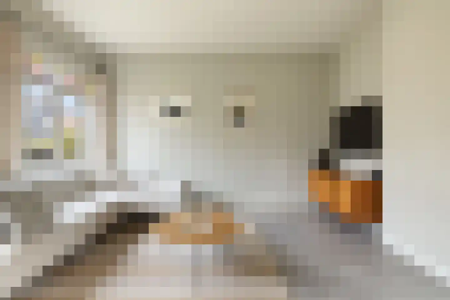 Kadoelenweg 225 Amsterdam thumbnail 38