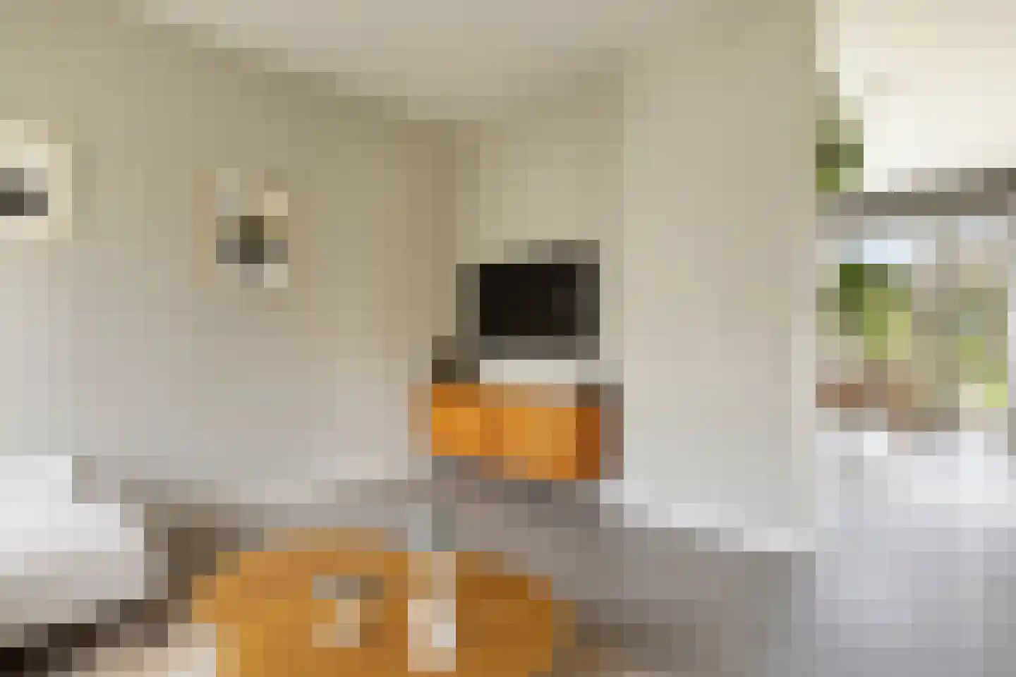 Kadoelenweg 225 Amsterdam thumbnail 39