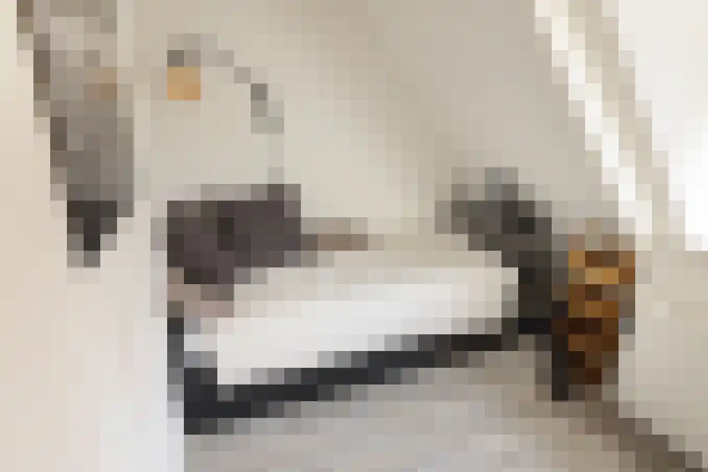 Kadoelenweg 225 Amsterdam thumbnail 43