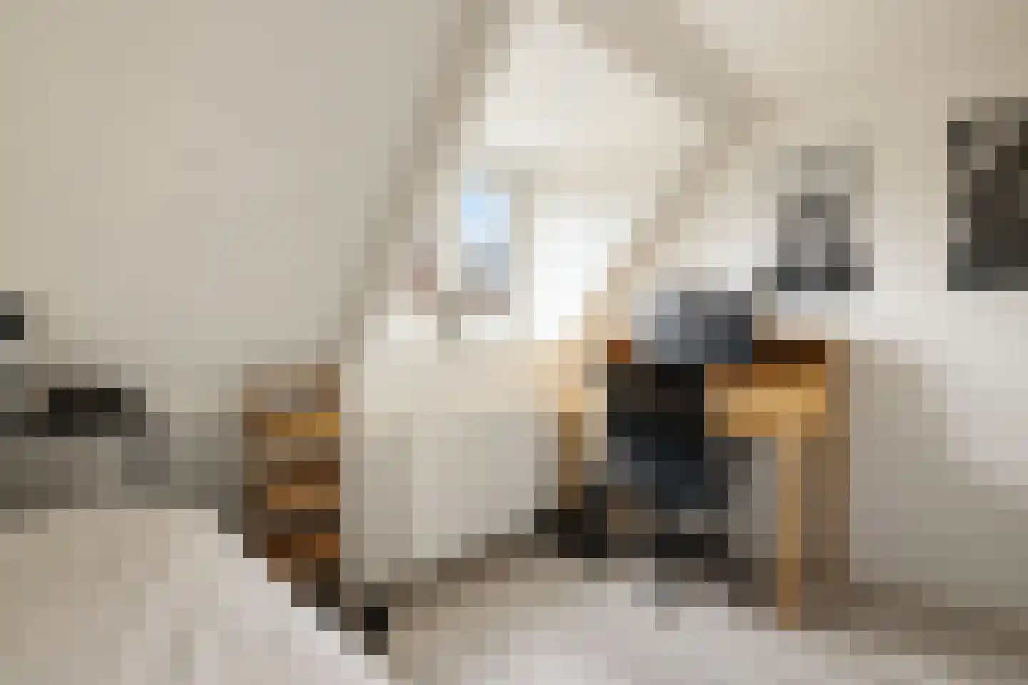 Kadoelenweg 225 Amsterdam thumbnail 44