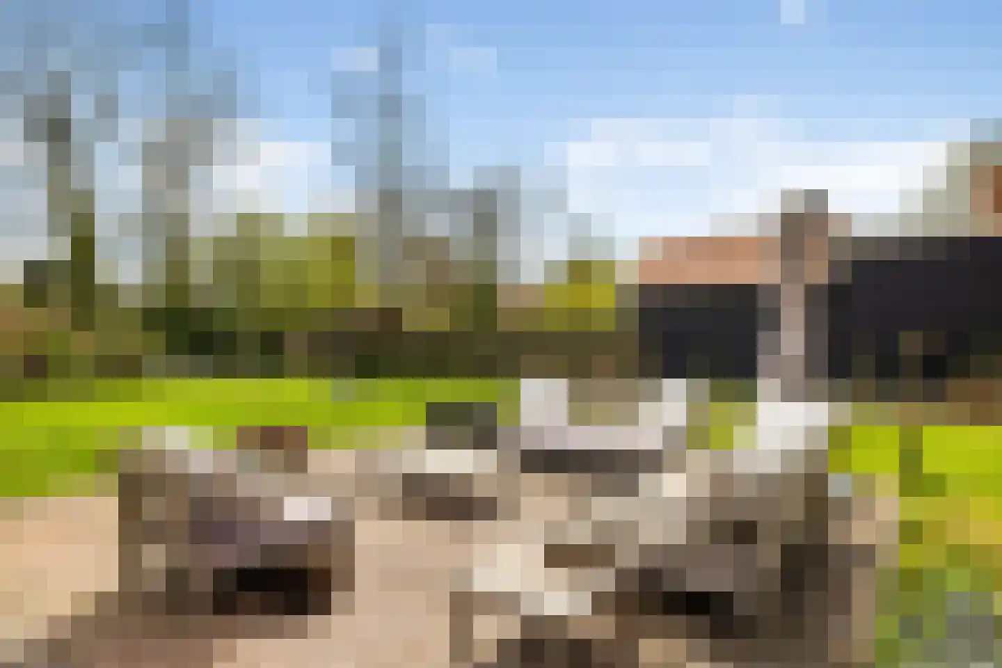 Kadoelenweg 225 Amsterdam thumbnail 5