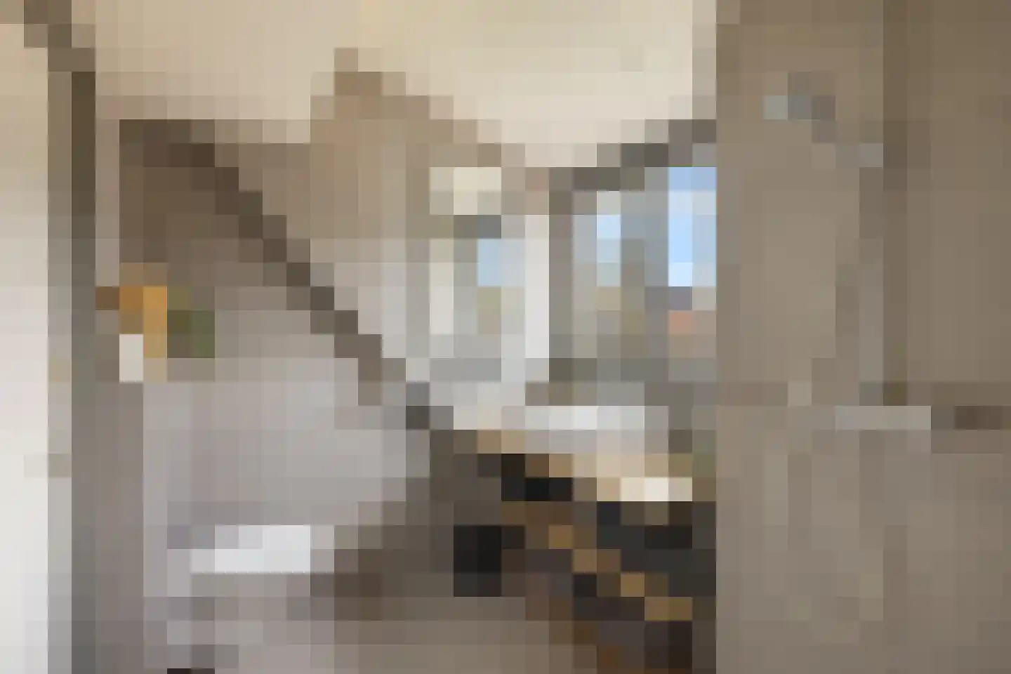 Kadoelenweg 225 Amsterdam thumbnail 58