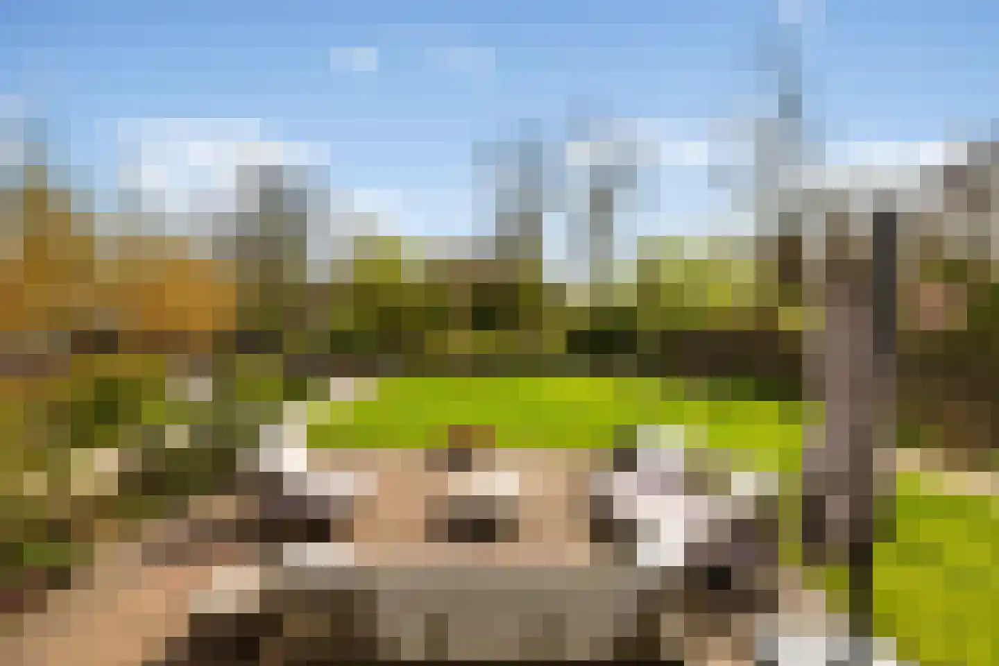 Kadoelenweg 225 Amsterdam thumbnail 6