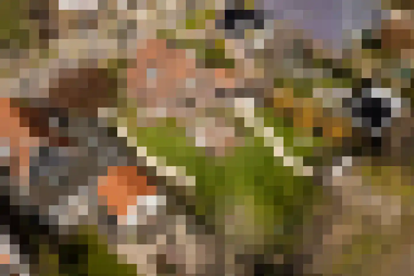 Kadoelenweg 225 Amsterdam thumbnail 60