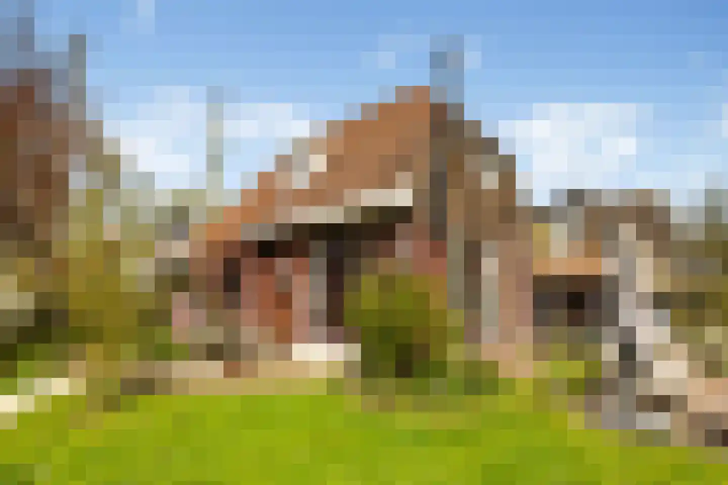 Kadoelenweg 225 Amsterdam thumbnail 8
