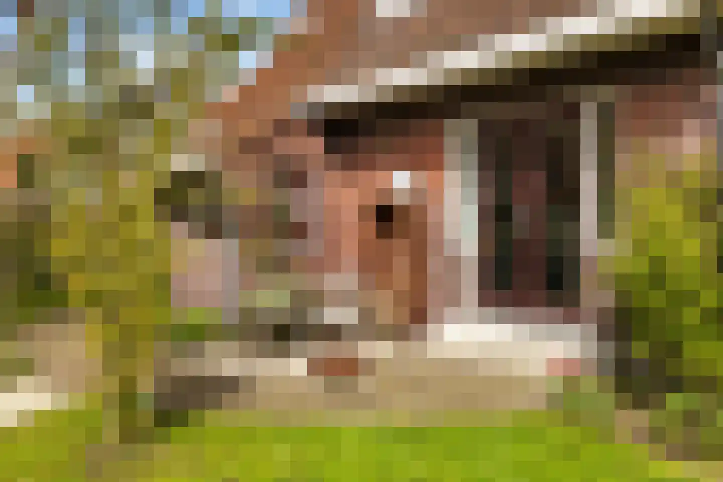 Kadoelenweg 225 Amsterdam thumbnail 9