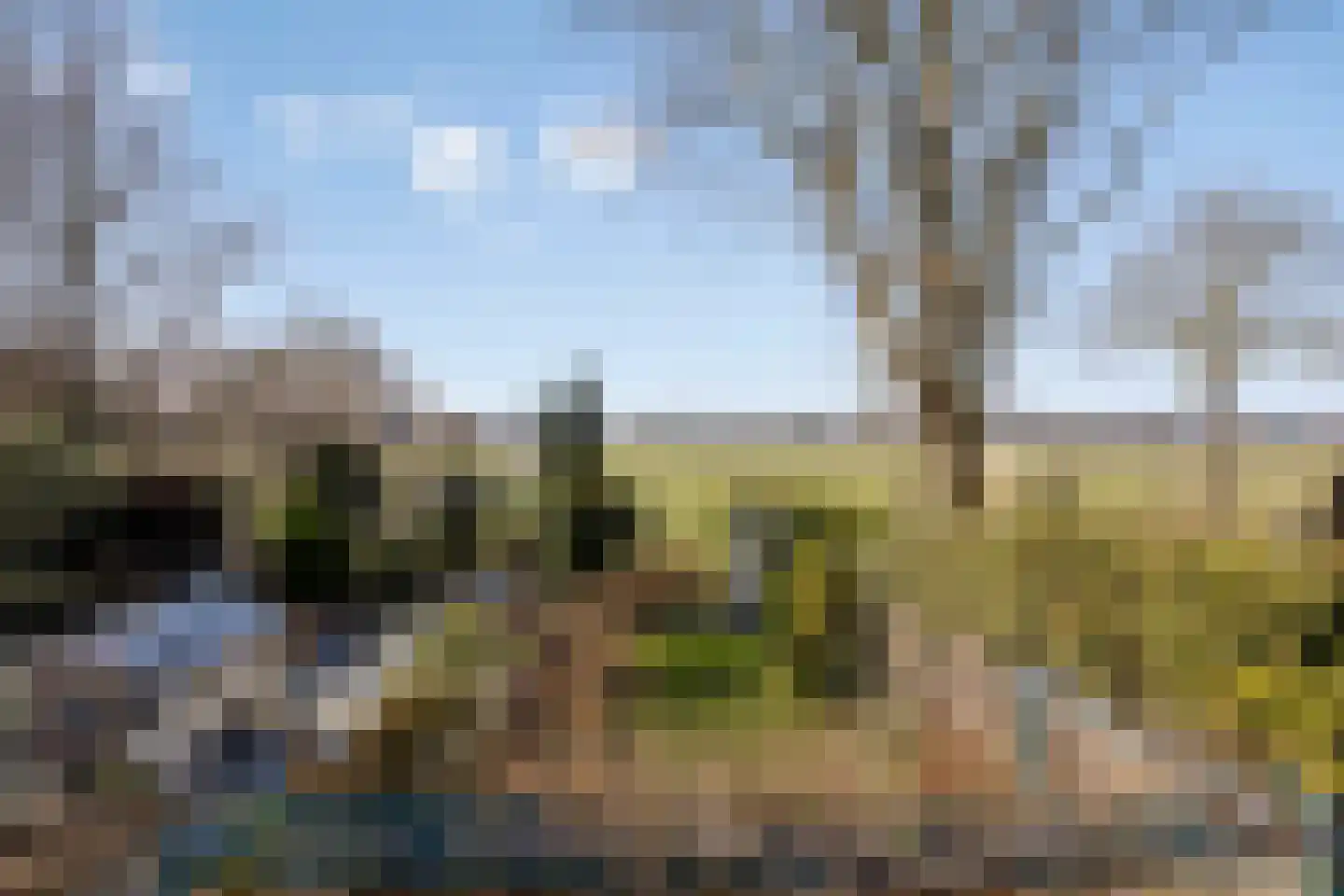 Kadoelenweg 300 Amsterdam thumbnail 16