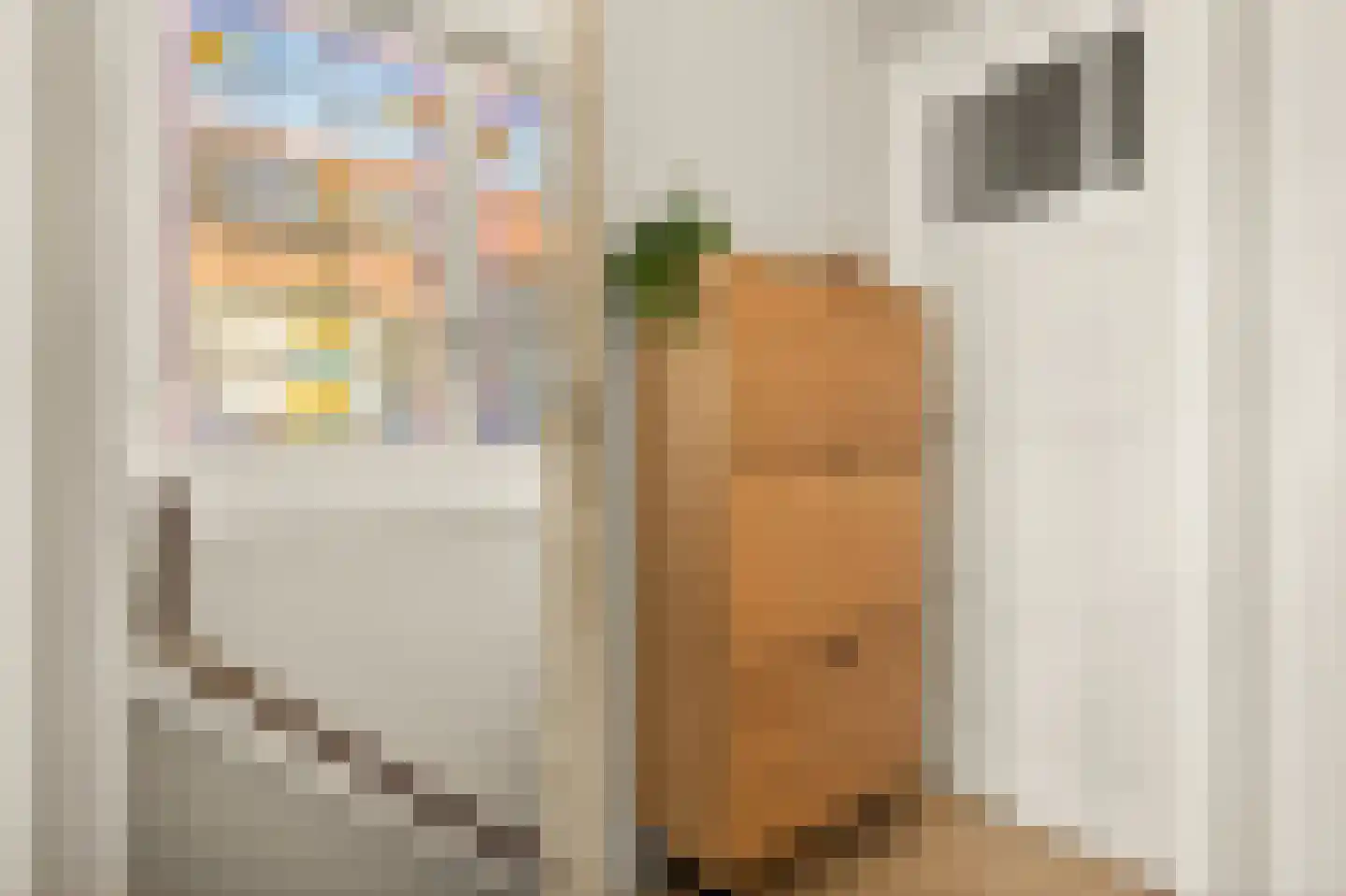 Kadoelenweg 342 Amsterdam thumbnail 38