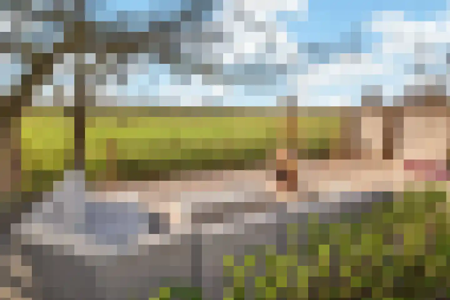 Kadoelenweg 342 Amsterdam thumbnail 65