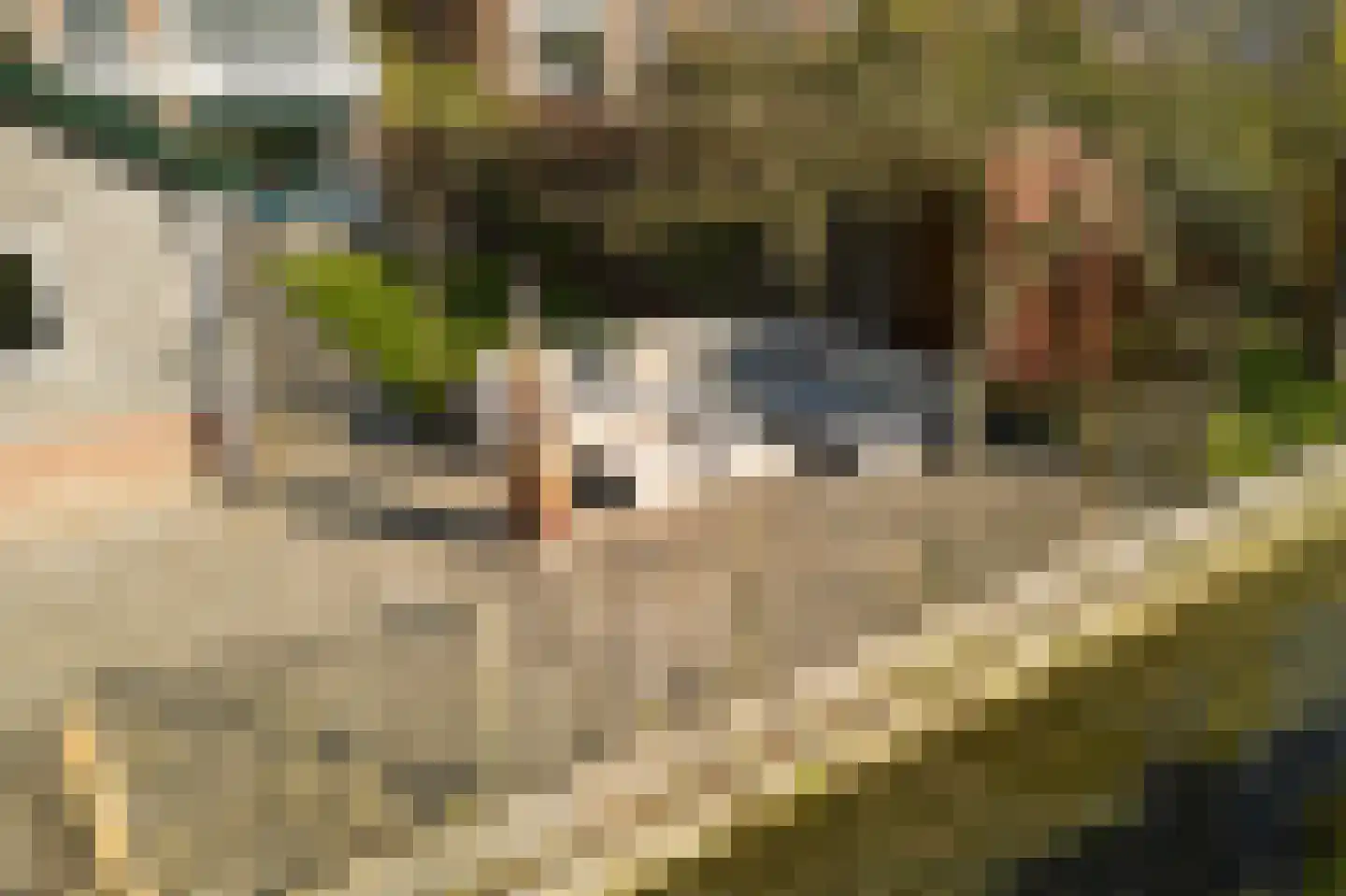 Kadoelenweg 342 Amsterdam thumbnail 72