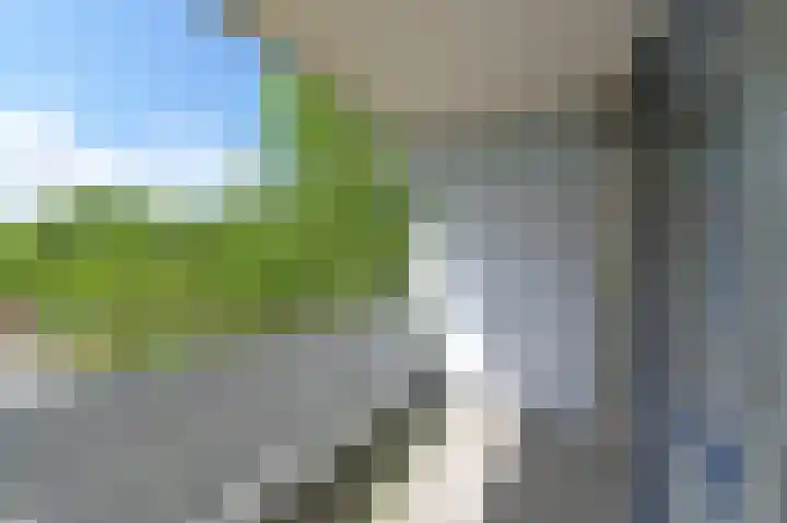 Kadoelerbos 103 Zoetermeer thumbnail 16