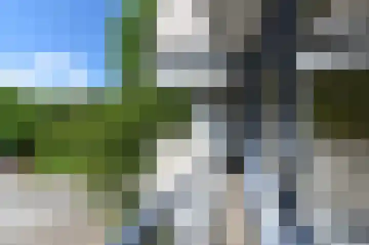 Kadoelerbos 103 Zoetermeer thumbnail 25