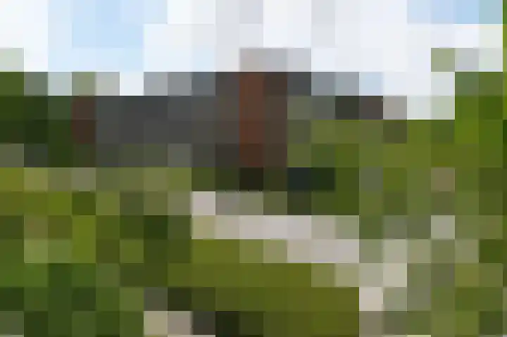 Kadoelerbos 103 Zoetermeer thumbnail 26