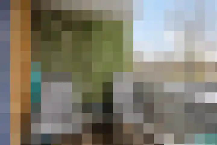 Kadoelerbos 104 Zoetermeer thumbnail 21
