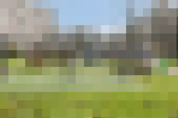 Kadoelerbos 104 Zoetermeer thumbnail 23