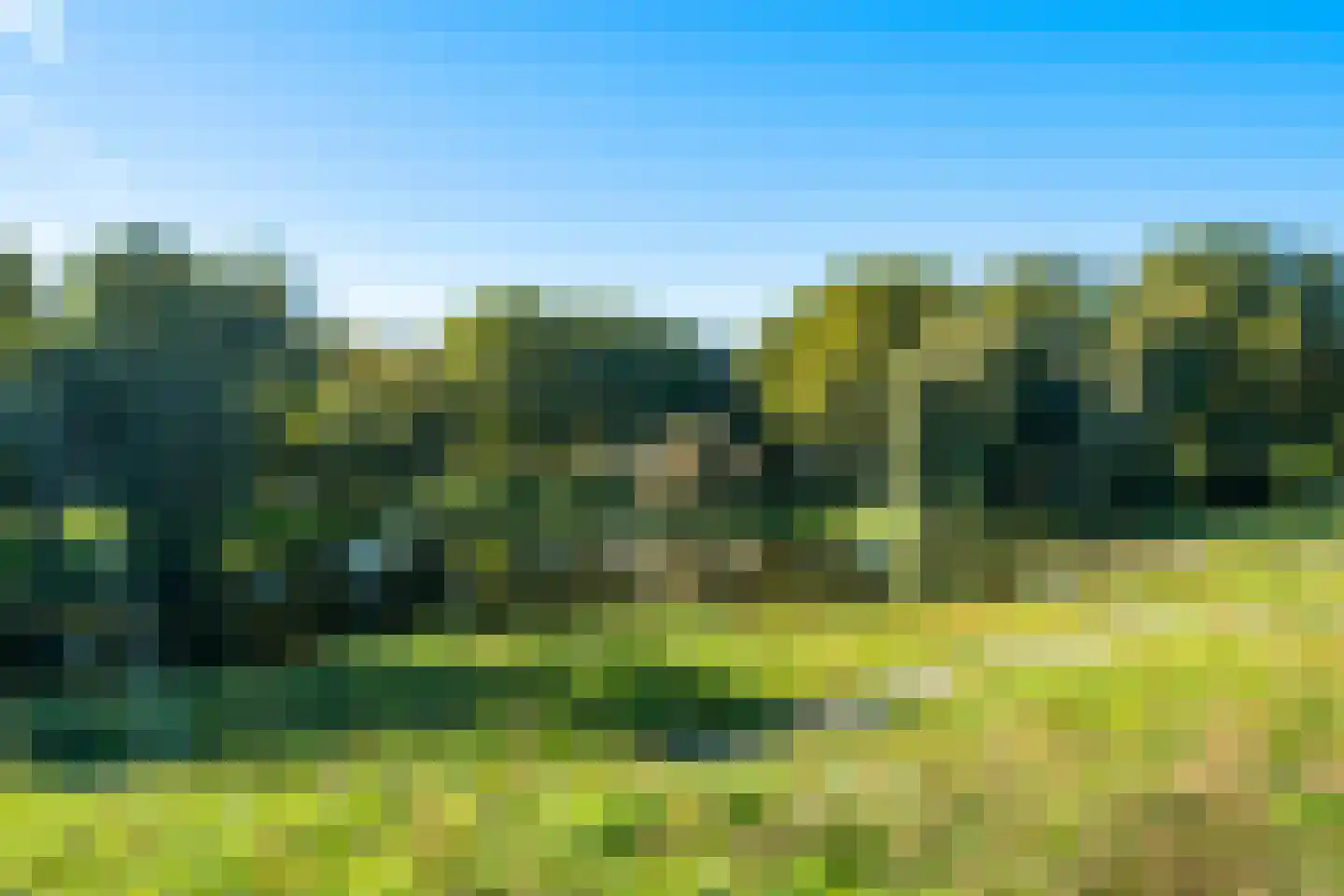 Kadoelerbos 112 Zoetermeer thumbnail 49