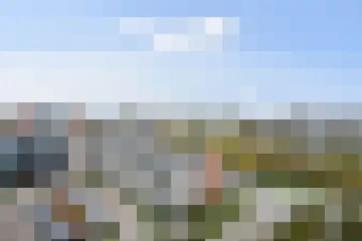 Kadoelerbos 162 Zoetermeer thumbnail 27