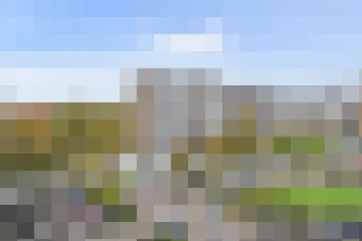 Kadoelerbos 162 Zoetermeer thumbnail 30