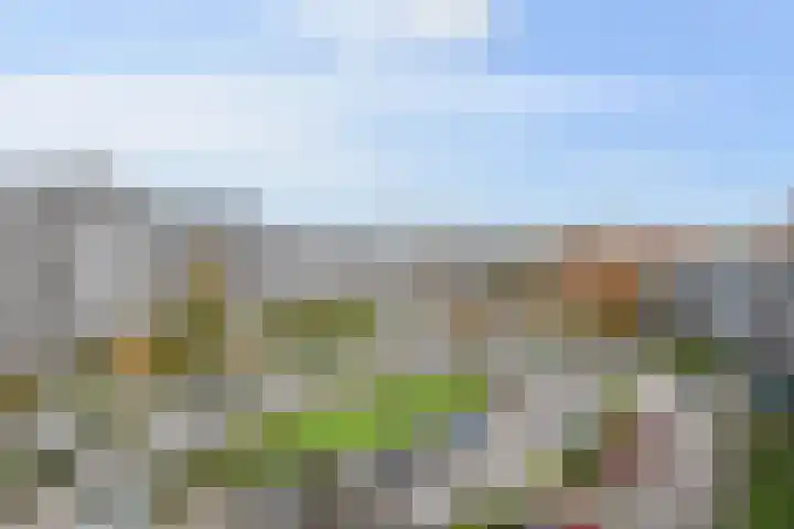 Kadoelerbos 162 Zoetermeer thumbnail 9