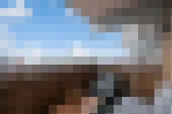 Kadoelerbos 163 Zoetermeer thumbnail 18