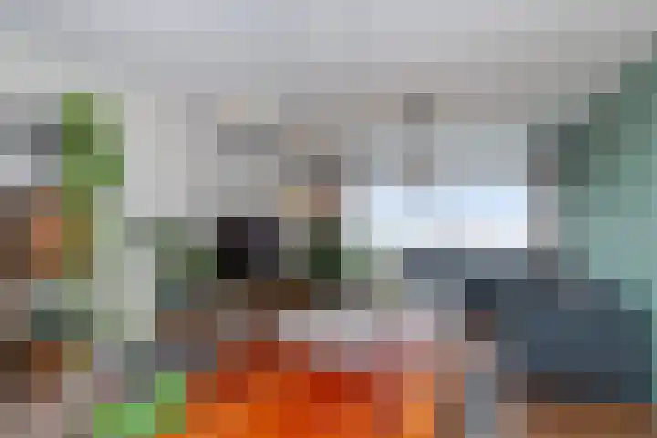 Kadoelerbos 163 Zoetermeer thumbnail 7