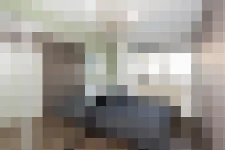 Kadoelerbos 22 Zoetermeer thumbnail 14