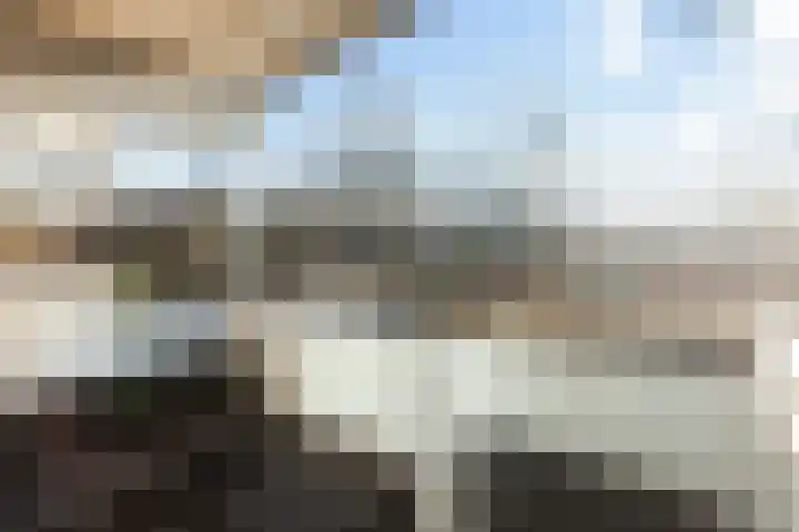 Kadoelerbos 22 Zoetermeer thumbnail 23