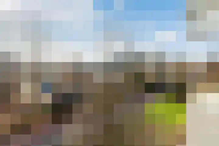 Kadoelerbos 22 Zoetermeer thumbnail 26