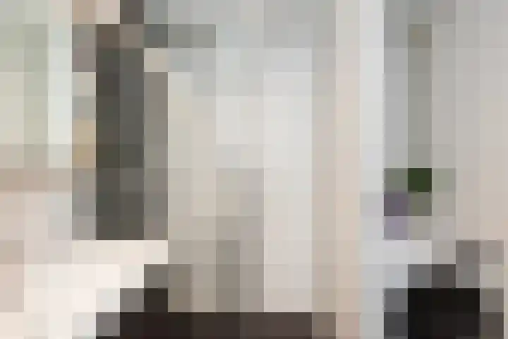 Kadoelerbos 22 Zoetermeer thumbnail 29