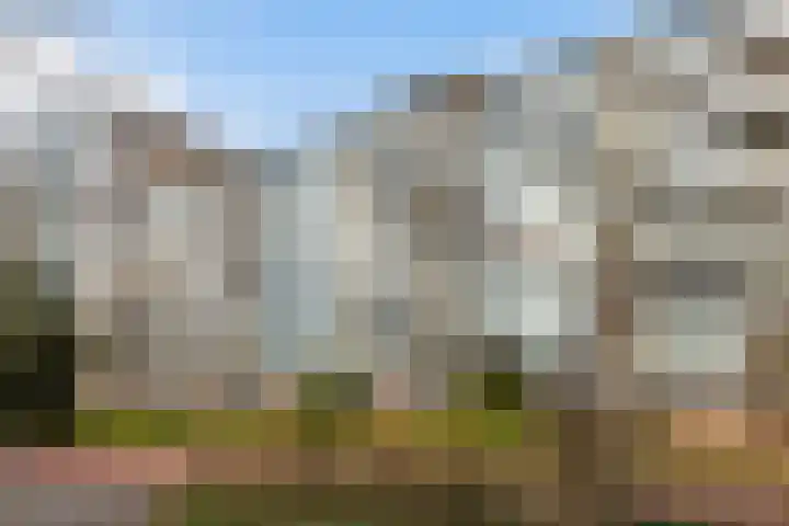 Kadoelerbos 22 Zoetermeer thumbnail 44