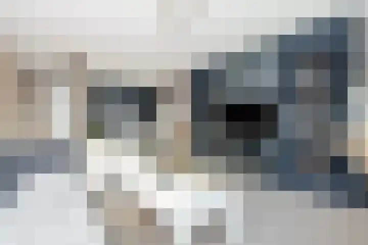 Kadoelerbos 22 Zoetermeer thumbnail 5