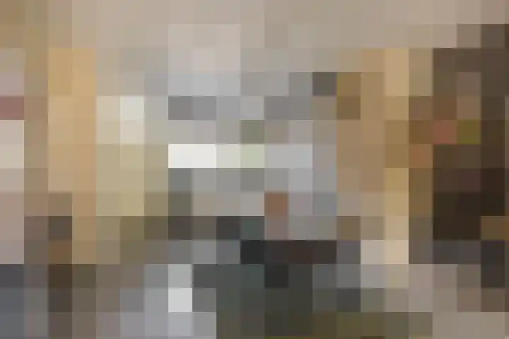 Kadoelerbos 24 Zoetermeer thumbnail 12