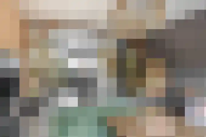 Kadoelerbos 24 Zoetermeer thumbnail 16