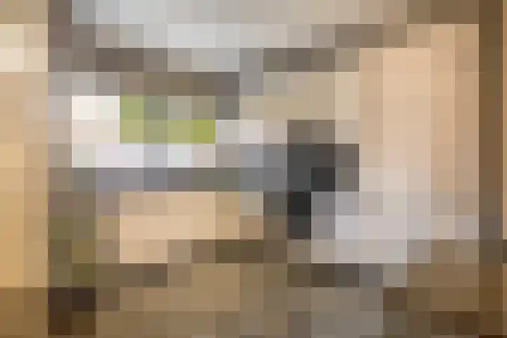 Kadoelerbos 24 Zoetermeer thumbnail 17