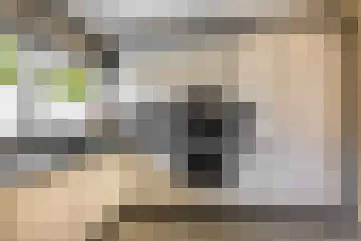 Kadoelerbos 24 Zoetermeer thumbnail 18