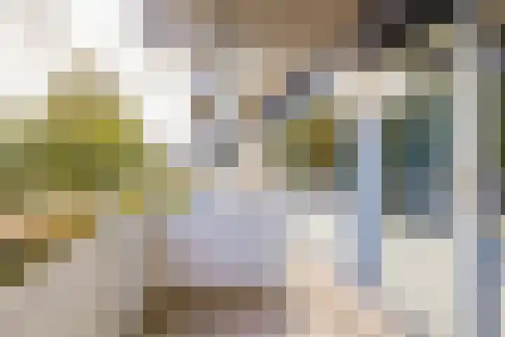 Kadoelerbos 24 Zoetermeer thumbnail 20