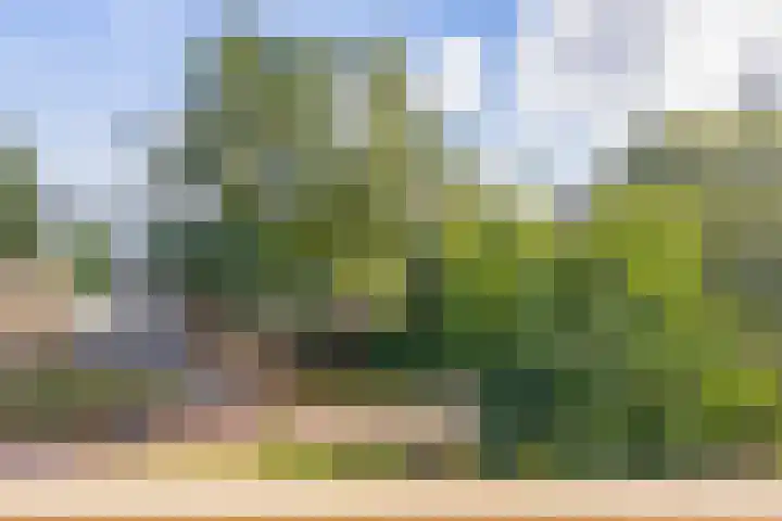 Kadoelerbos 24 Zoetermeer thumbnail 21