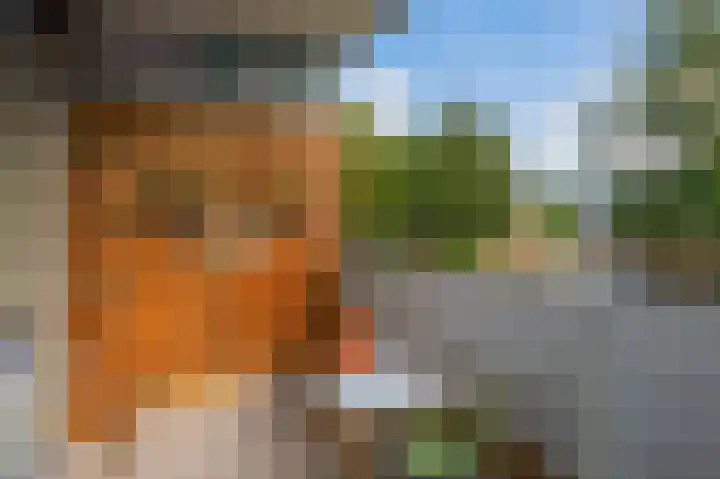 Kadoelerbos 24 Zoetermeer thumbnail 22